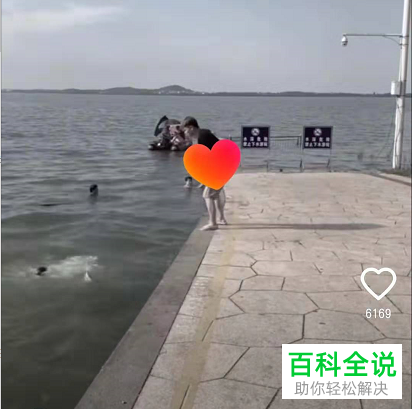 如何暂停观看手机火山小视频app中的视频