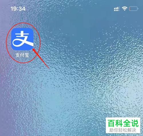 如何在支付宝登报挂失个体工商户营业执照