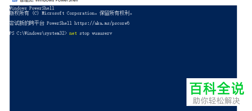 如何在win10系统中解决无法成功更新的问题