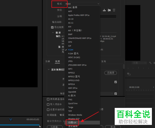 如何在PR软件中导出GIF动图