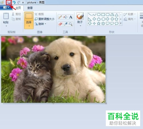 如何在画图工具中进行图片剪裁?