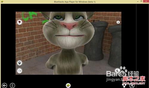 如何在电脑上应用安卓软件具体步骤