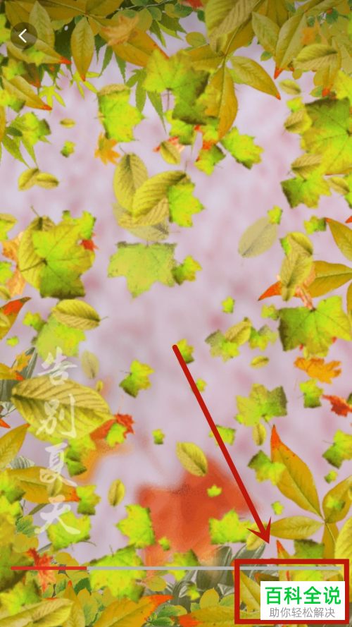 如何在拼多多内拍摄魔法视频