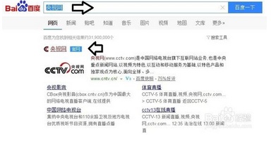 如何在电脑中观看央视节目