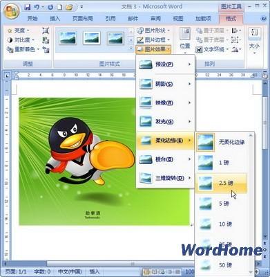 如何在Word2007中设置图片柔化边缘效果技巧
