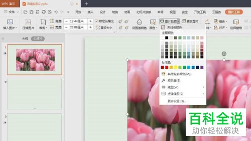 如何在PPT文档中插入图片并添加描边