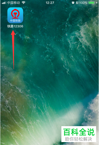 如何在手机铁路12306app上投诉