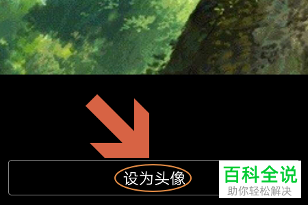 如何在2019版手机QQ中查看自己用过的头像？