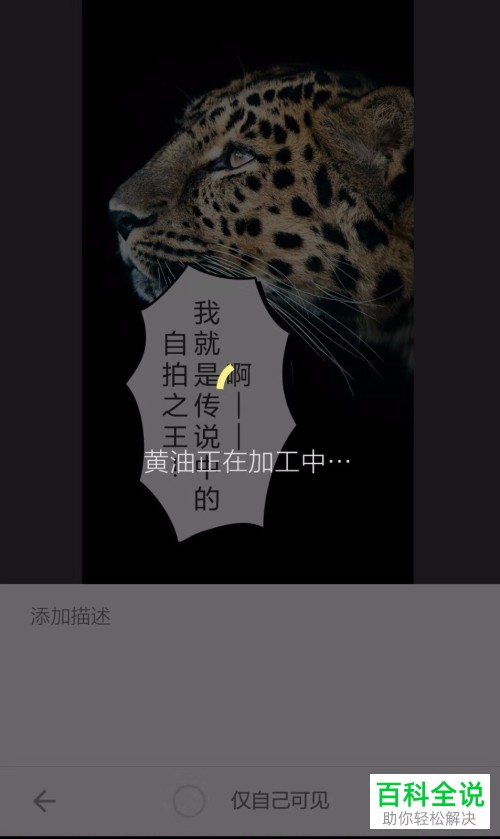 如何在黄油相机App中添加贴纸