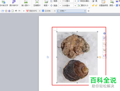 如何在wps文字中插入图片并旋转？