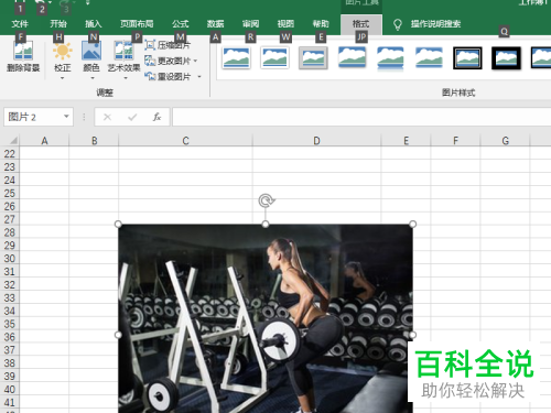 如何在excel2019中将图片插入到工作表格里？