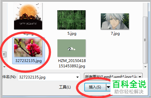 如何在PPT文档中插入图片并铺满幻灯片