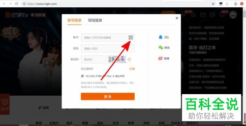 如何在电脑版芒果tv中扫码登录