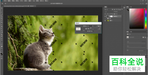 如何在PS中给图片添加水印