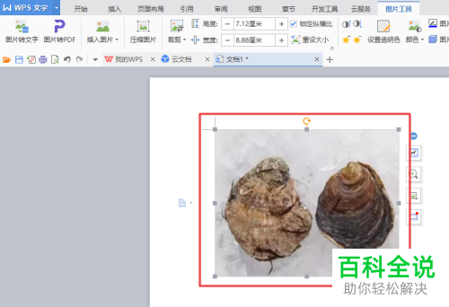 如何在wps文字中插入图片并旋转？