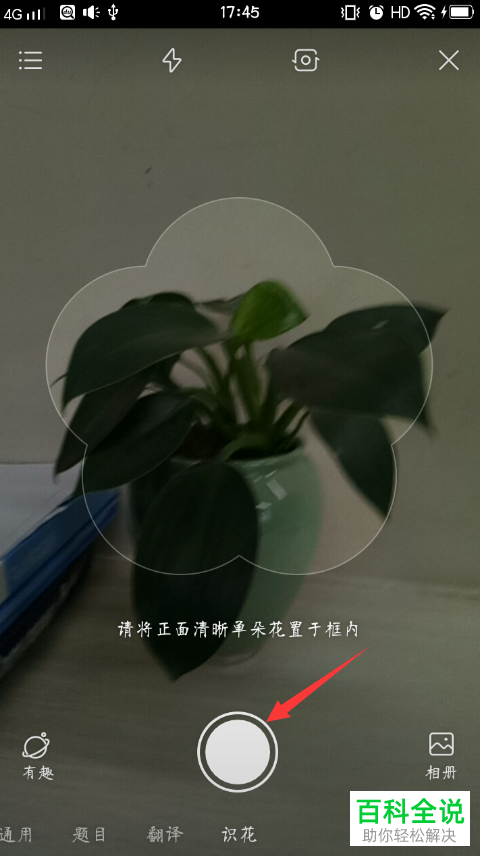 如何在百度app中通过图片识别一种花？