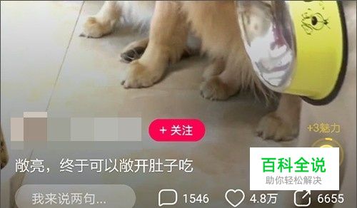 全民小视频怎么挣钱