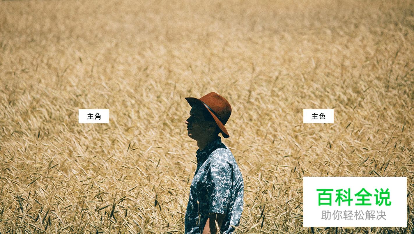 让你的配色自带主角光环