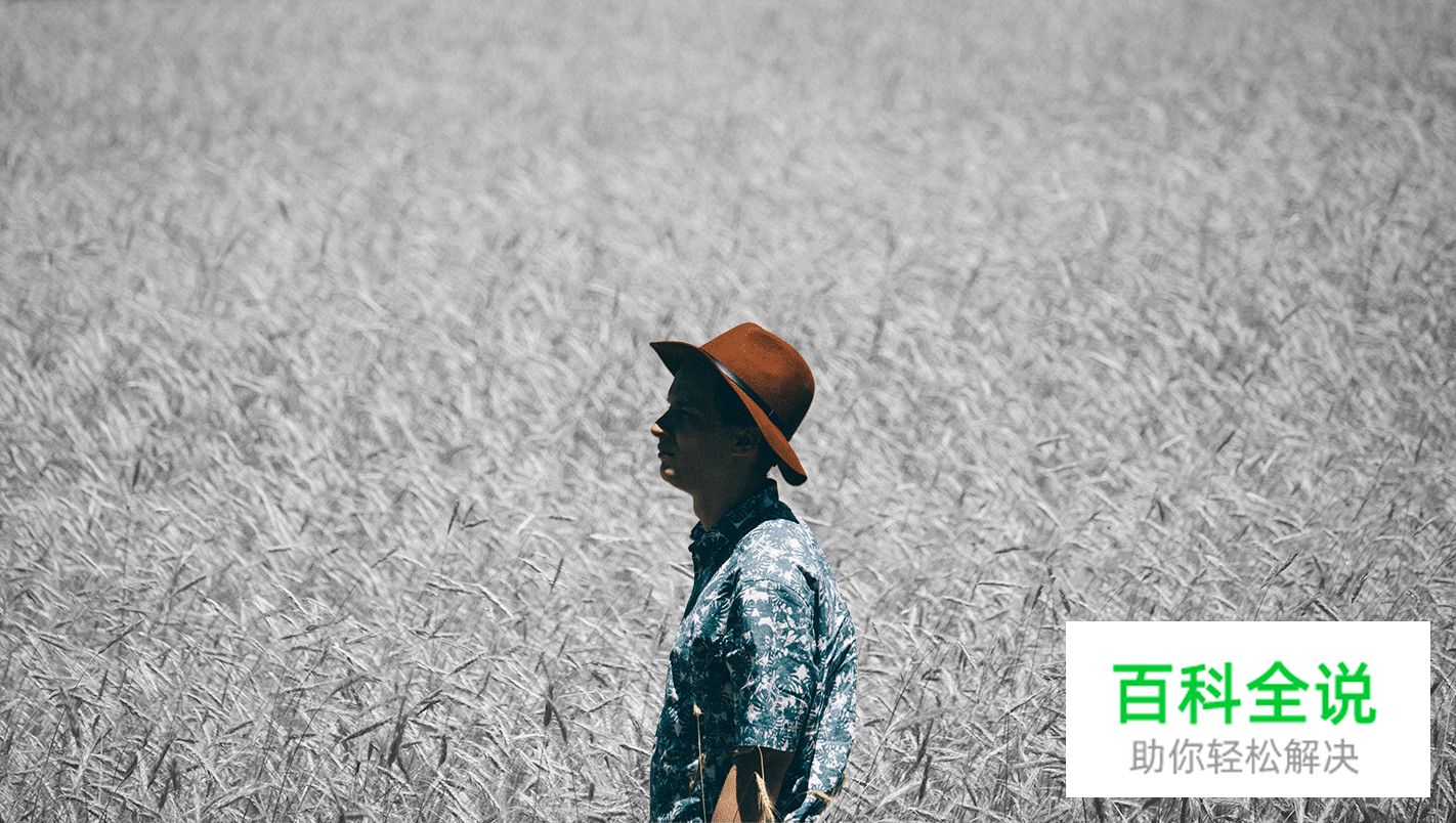 让你的配色自带主角光环