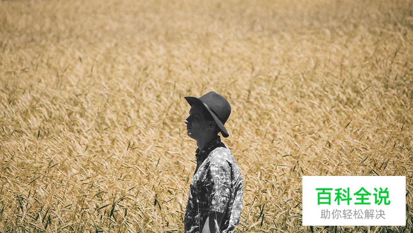 让你的配色自带主角光环