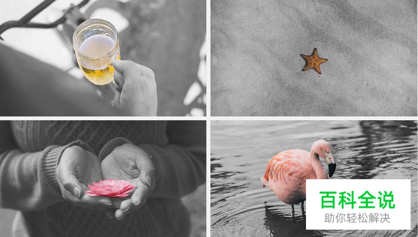 让你的配色自带主角光环