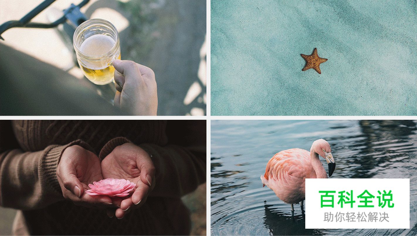 让你的配色自带主角光环