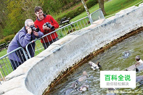 轻松几招 教你拍摄出精美的动物照片