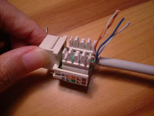 墙上网线面板怎么接?