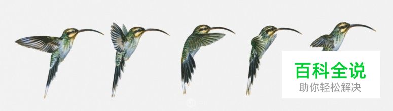 浅析插画设计中的风格和例子