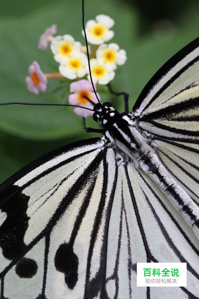 浅析决定景深之四大因素