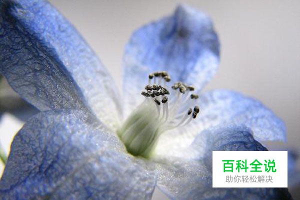 浅析决定景深之四大因素