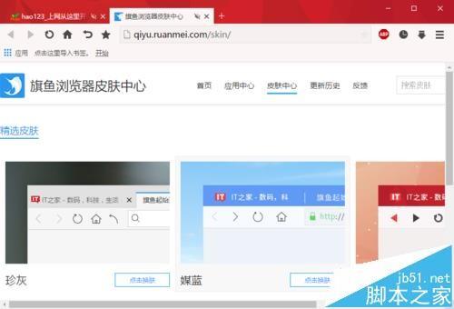 旗鱼浏览器怎么更换皮肤?