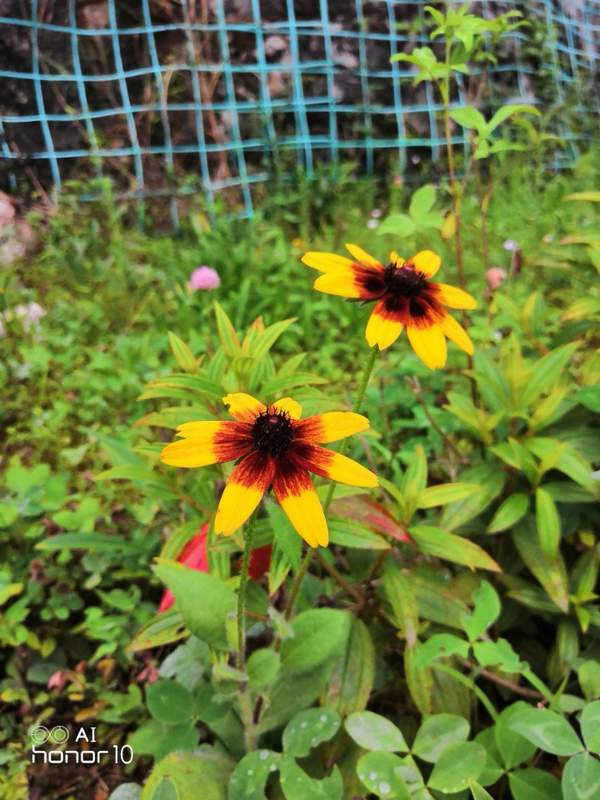 企业私域流量运营（企业微信私域流量）