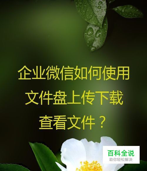 企业微信如何使用文件盘上传下载查看文件？