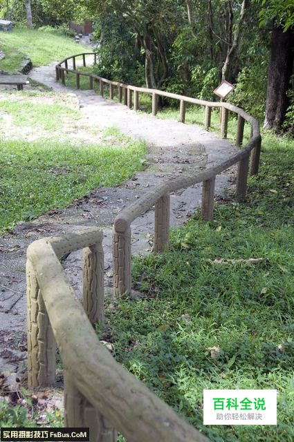 巧用引导线制造黄金比例