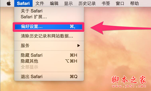 safari怎么翻译网页？ safari翻译网页图文教程