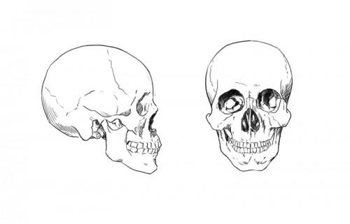 Sai如何画好人脸?