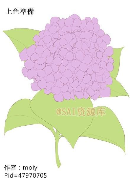 SAI动漫绘师moiy的一组紫阳花练习