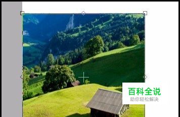 SAI如何裁剪图片？sai怎么裁切照片？