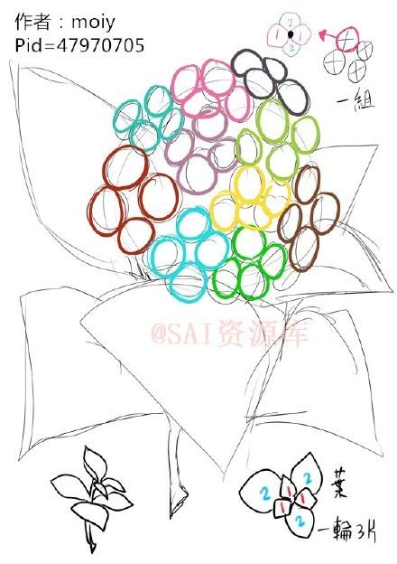 SAI动漫绘师moiy的一组紫阳花练习