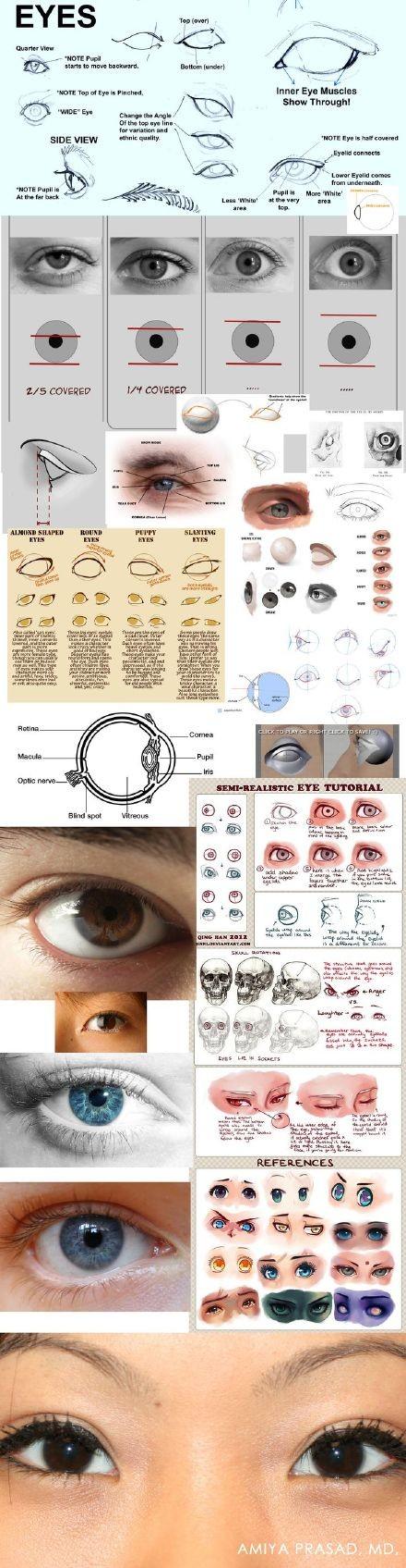 SAI眼睛的画法解析