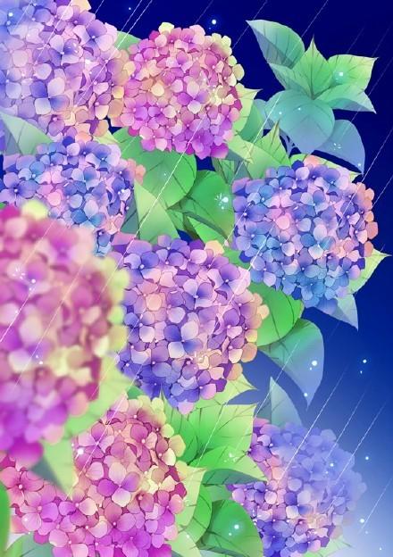 SAI动漫绘师moiy的一组紫阳花练习