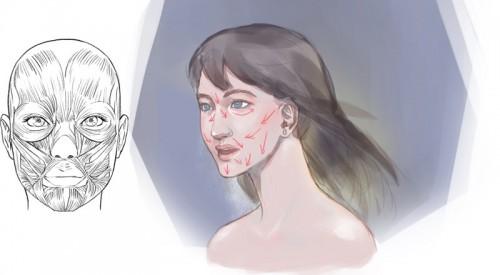 Sai如何画好人脸?