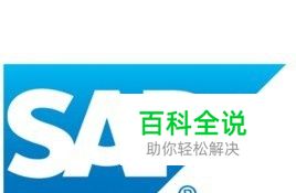 sap明细账怎么打印设置