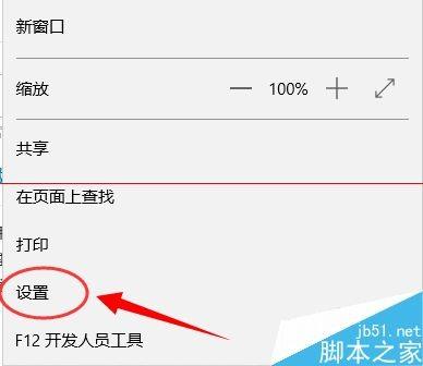 斯巴达Spartan浏览器设置开启或关闭Flash Player
