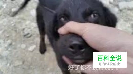 三步搞定情人节活动专题页设计！