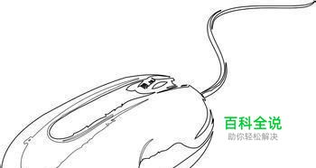 鼠标失灵怎么办？