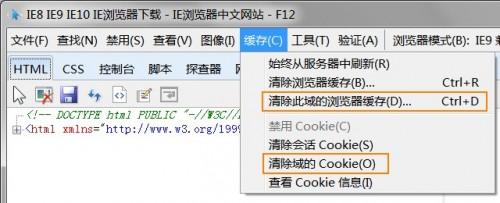 删除IE中单个网站域的缓存和Cookie