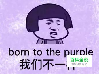 色彩研究 | 紫色