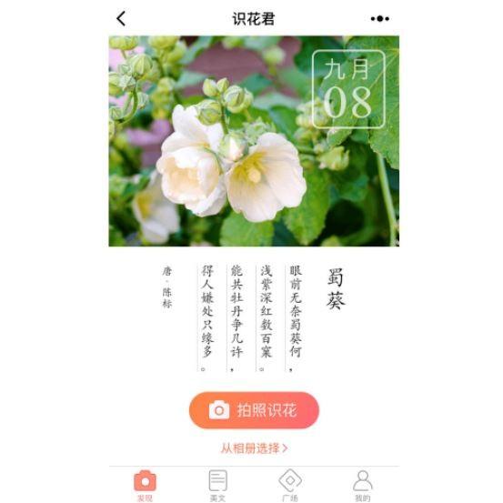 识花君小程序入口在哪里?微信小程序识花君怎么用?